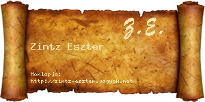 Zintz Eszter névjegykártya